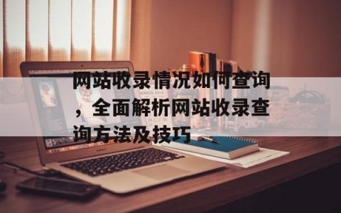 网站收录情况如何查询，全面解析网站收录查询方法及技巧