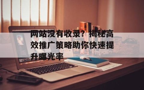 网站没有收录？揭秘高效推广策略助你快速提升曝光率