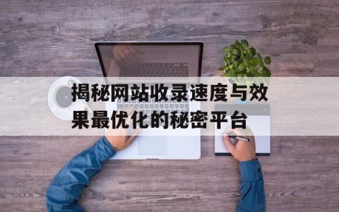 揭秘网站收录速度与效果最优化的秘密平台