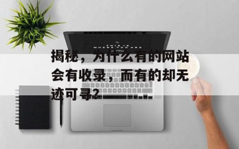 揭秘，为什么有的网站会有收录，而有的却无迹可寻？
