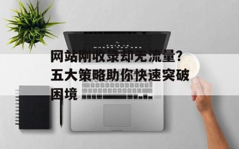 网站刚收录却无流量？五大策略助你快速突破困境