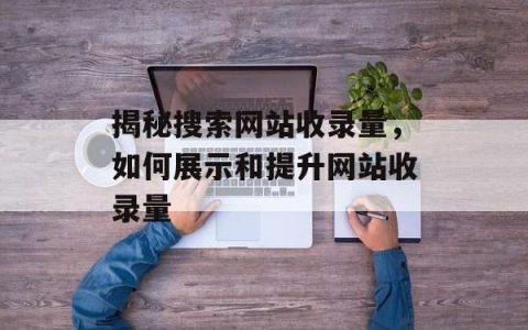 揭秘搜索网站收录量，如何展示和提升网站收录量