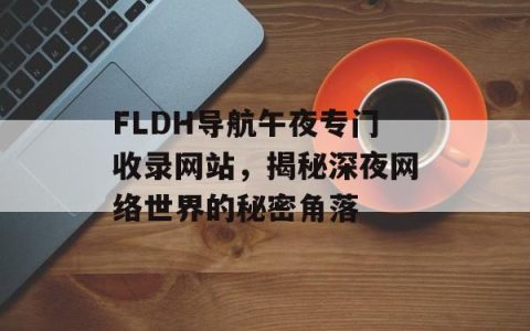 FLDH导航午夜专门收录网站，揭秘深夜网络世界的秘密角落