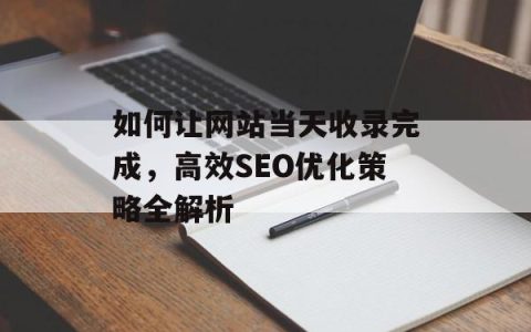 如何让网站当天收录完成，高效SEO优化策略全解析